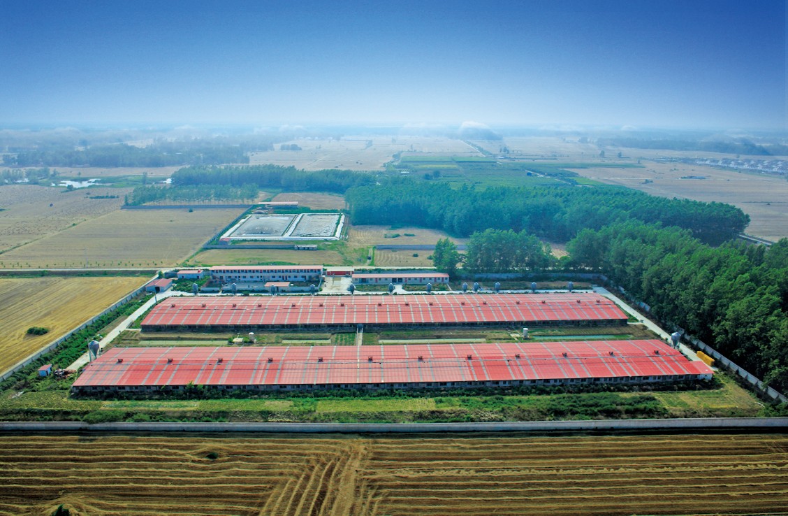 �����r(n��ng)���̼Ҽ��(zh��n)�ֈ�(ch��ng)�B(ni��o)D