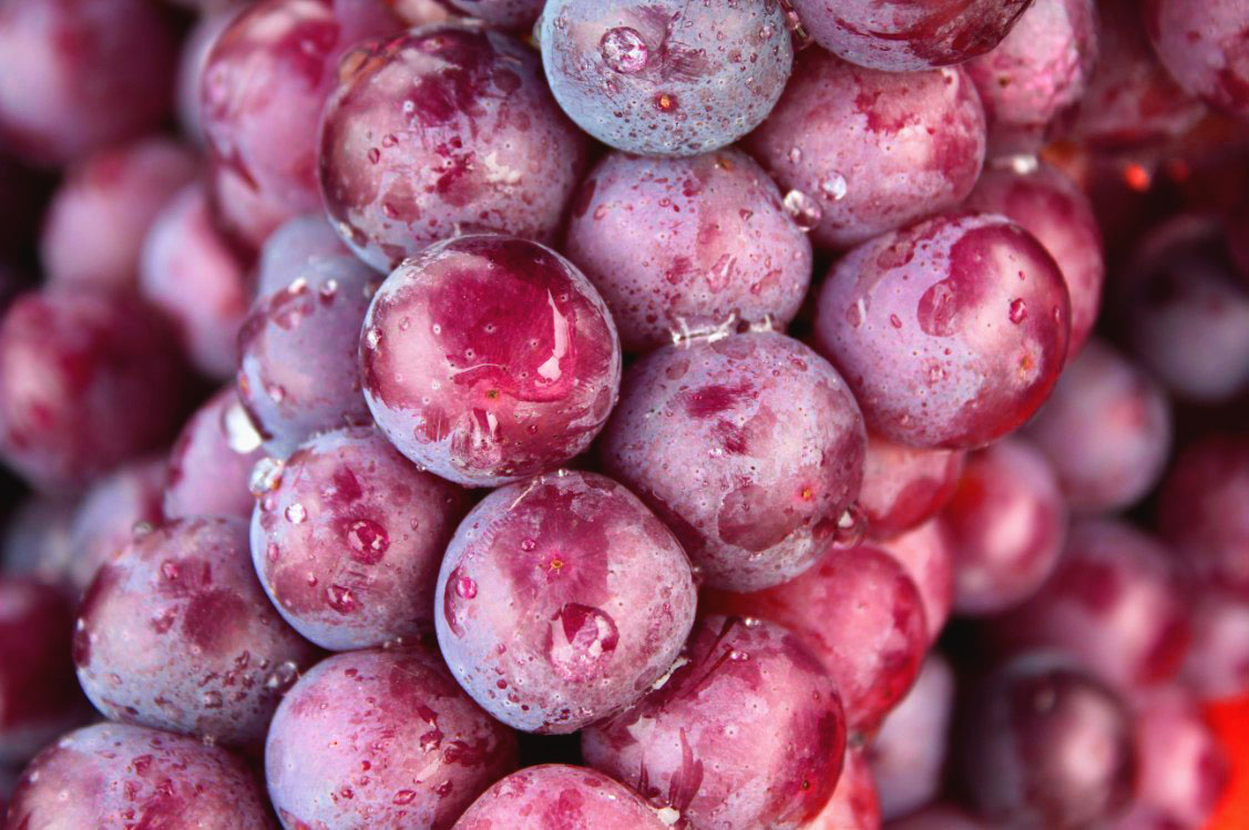 �t������