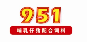 951����ĸ�i������